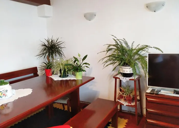 Cheerful Two Bedroom With Panoramic View In Vikendica Celina